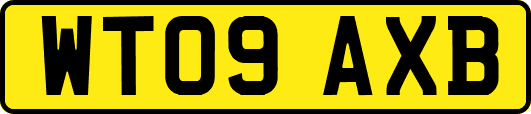 WT09AXB
