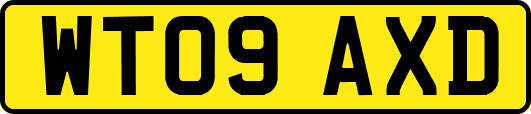 WT09AXD