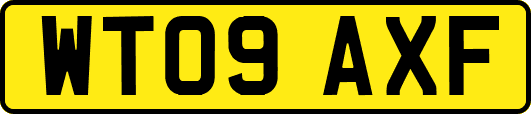 WT09AXF