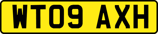 WT09AXH