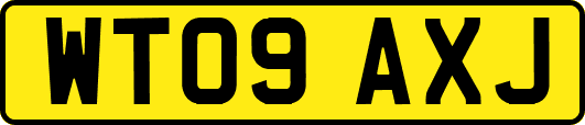 WT09AXJ