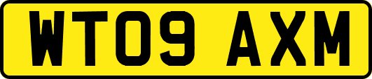 WT09AXM