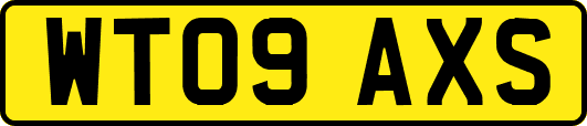 WT09AXS