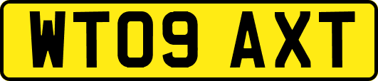 WT09AXT