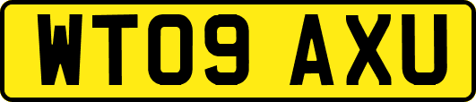 WT09AXU