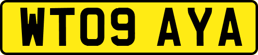 WT09AYA