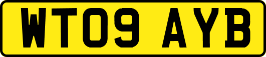WT09AYB