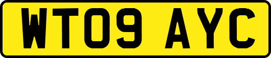 WT09AYC