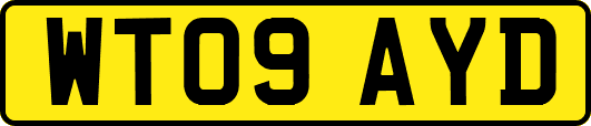 WT09AYD