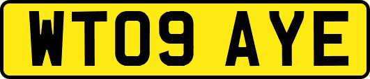 WT09AYE