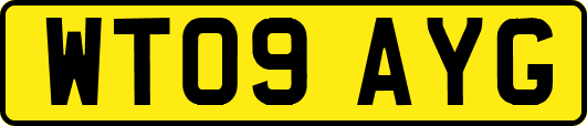 WT09AYG