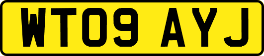 WT09AYJ