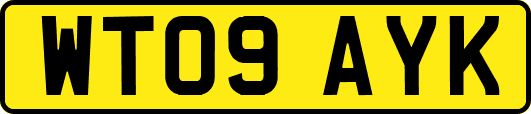 WT09AYK