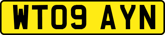 WT09AYN