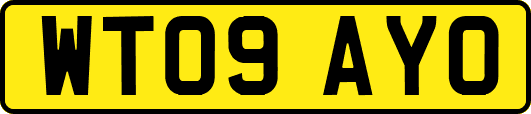 WT09AYO