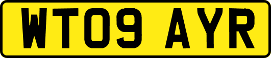 WT09AYR