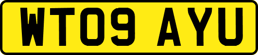 WT09AYU