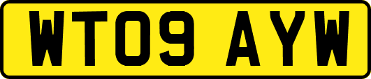 WT09AYW