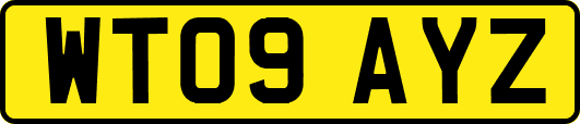 WT09AYZ