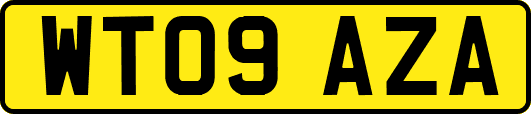 WT09AZA
