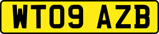 WT09AZB