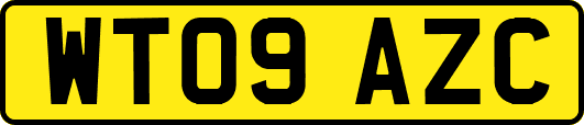 WT09AZC