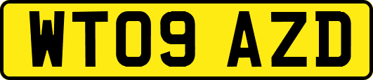 WT09AZD