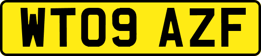WT09AZF