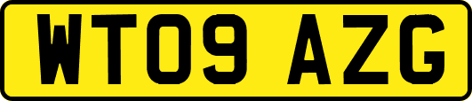 WT09AZG