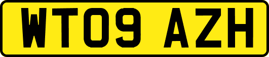 WT09AZH