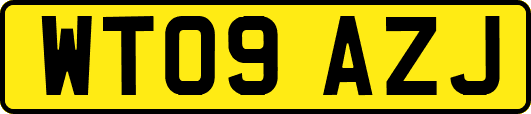 WT09AZJ