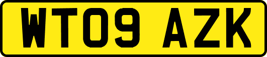 WT09AZK