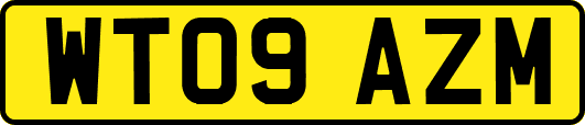 WT09AZM