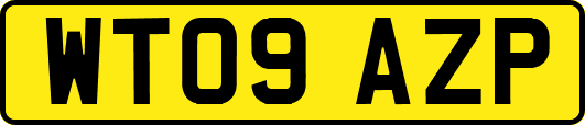 WT09AZP