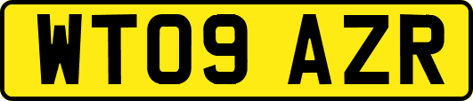 WT09AZR