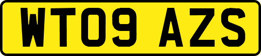 WT09AZS