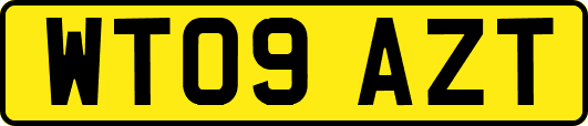 WT09AZT