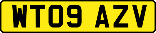 WT09AZV