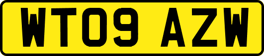 WT09AZW