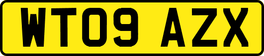WT09AZX