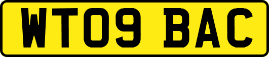 WT09BAC