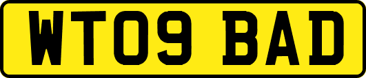 WT09BAD
