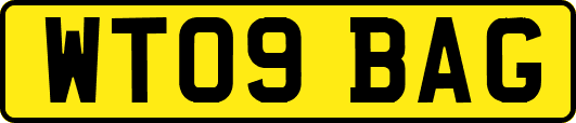 WT09BAG