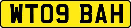 WT09BAH