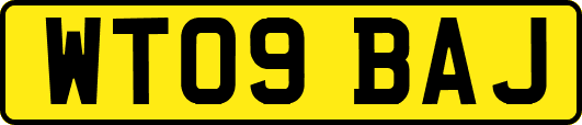 WT09BAJ