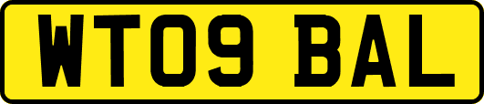 WT09BAL