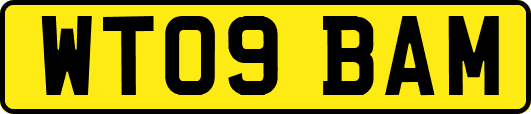 WT09BAM