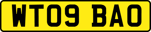 WT09BAO