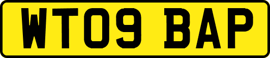 WT09BAP