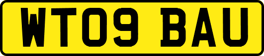 WT09BAU